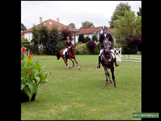 Springen-Siegerehr-(6)