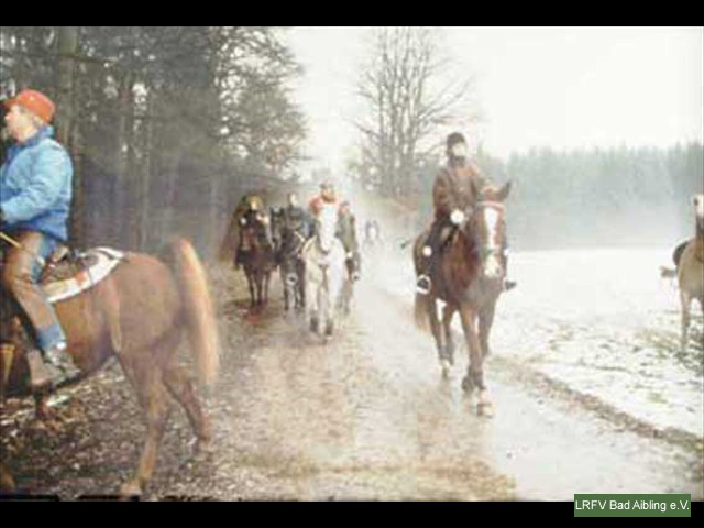 1995 Weihnachstritt Stachoed