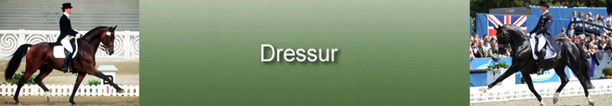 Dressur